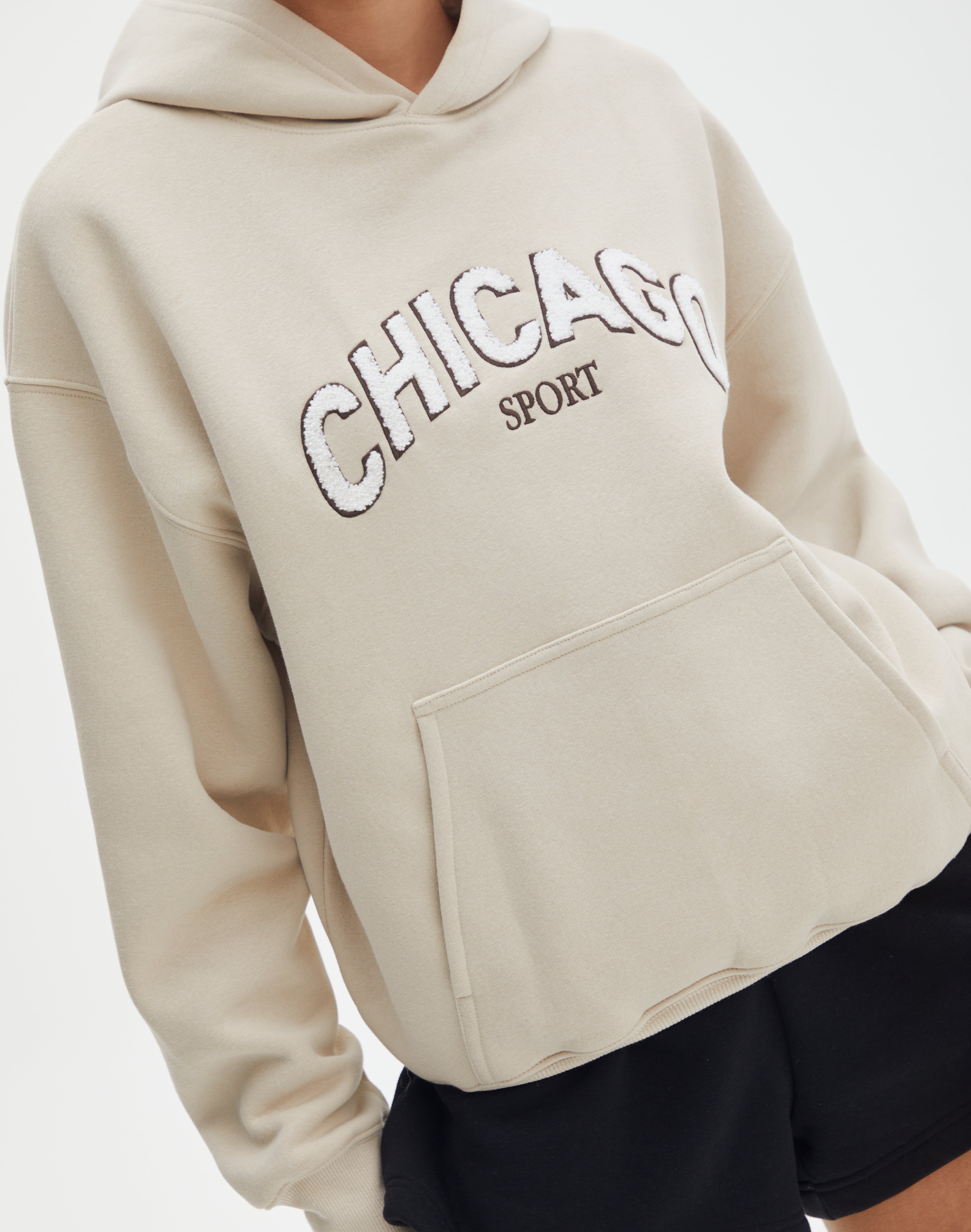 Classic Embroidered Hoodie in Chicago What The Shell Glassons